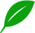 [Image: a_leaf-tea-green-dark-green.gif]